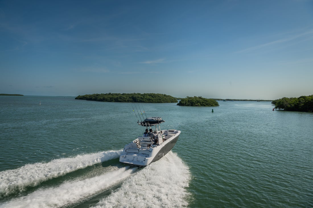 Sea Ray Boat